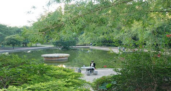 廣州番禺職業(yè)技術(shù)學(xué)院 公園