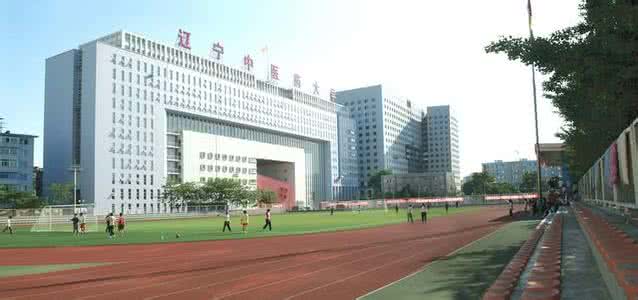 辽宁中医药大学有几个校区及校区地址
