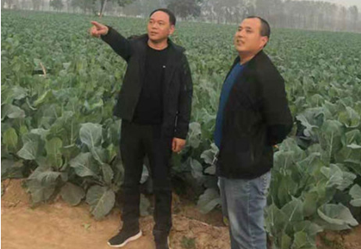 【网聚正能量 追梦太康人】徐克诚：走上扶贫路 驻进百姓心