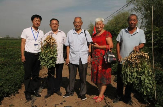 【网聚正能量 追梦太康人】张兴隆：40余年痴迷研究花生 奋斗精神被县委书记点赞