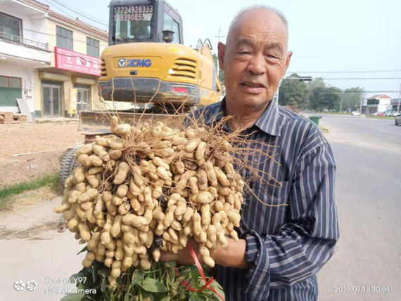 【网聚正能量 追梦太康人】张兴隆：40余年痴迷研究花生 奋斗精神被县委书记点赞