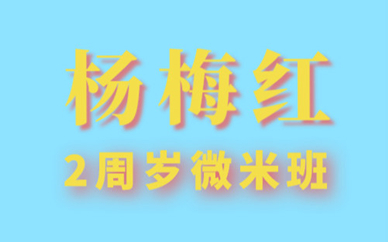 常州正方京城杨梅红2周岁微米美术培训