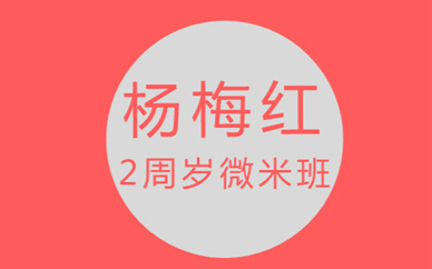 杭州欢乐城杨梅红2周岁微米美术培训