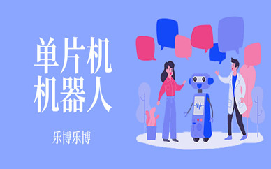 北京朝阳左家庄东街乐博乐博儿童单片机课程
