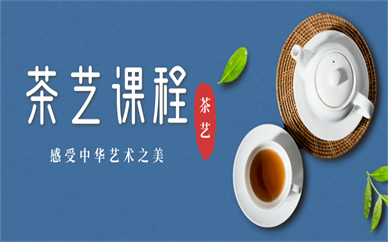 上海長寧中山茶藝興趣班