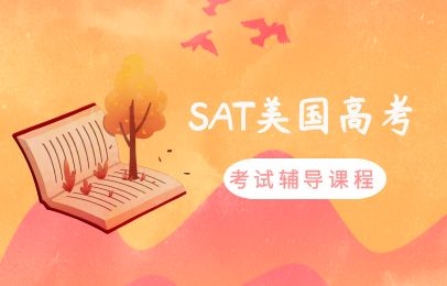 南京新通SAT考试辅导