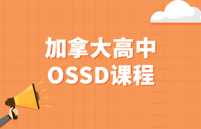 重庆渝中新航道加高OSSD培训