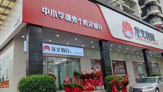 龙文-教育机构简介