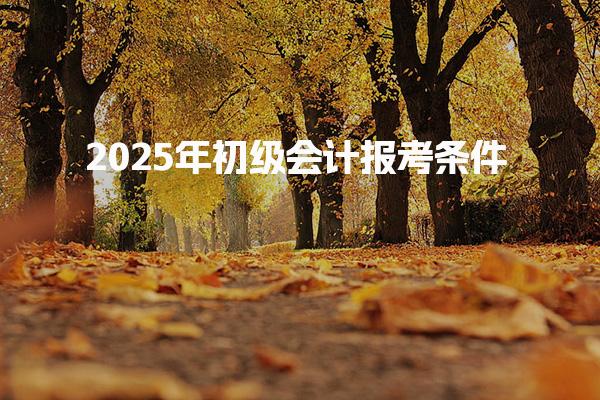 2025年初級會計報考條件 報名時間與入口