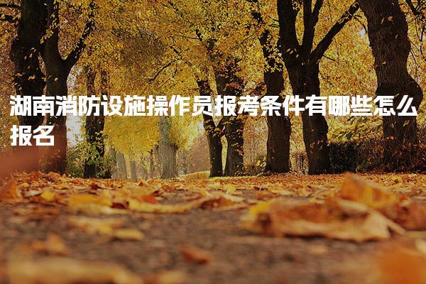 湖南消防设施操作员报考条件有哪些 怎么报名