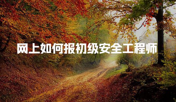 2025年网上如何报初级安全工程师：完整指南与各省报名入口