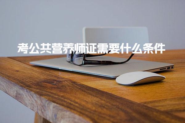 考公共营养师证需要什么条件？全面解析报考资格与流程