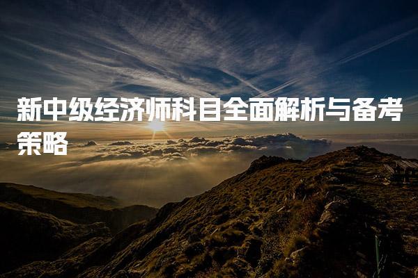 新中级经济师科目全面解析与备考策略