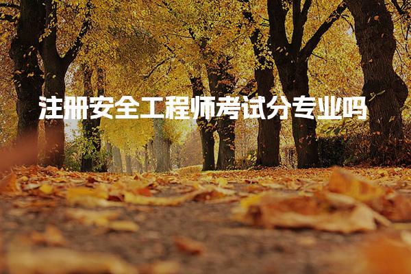 注册安全工程师考试分专业吗？深入解析各专业特点与选择