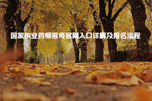 国家执业药师报考官网入口详解及报名流程