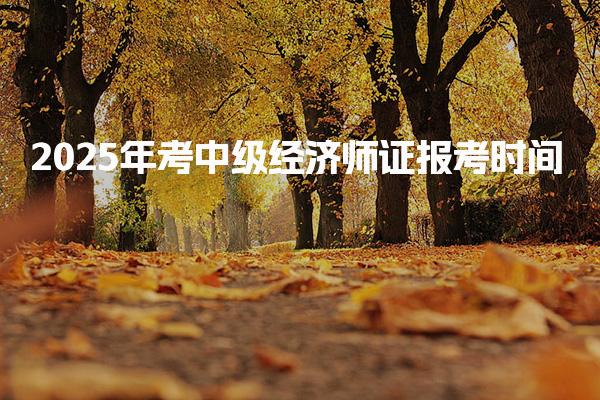 2025年考中级经济师证报考时间及报名流程详解