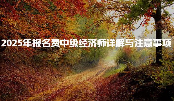 2025年报名费中级经济师详解与注意事项