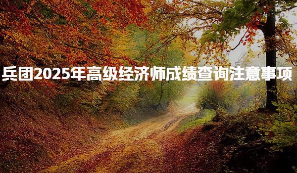 兵团2025年高级经济师成绩查询注意事项