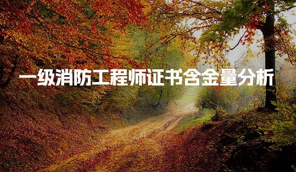一级消防工程师证书含金量分析：国家政策与就业前景