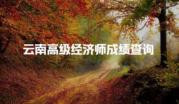 云南高级经济师成绩查询2025注意事项