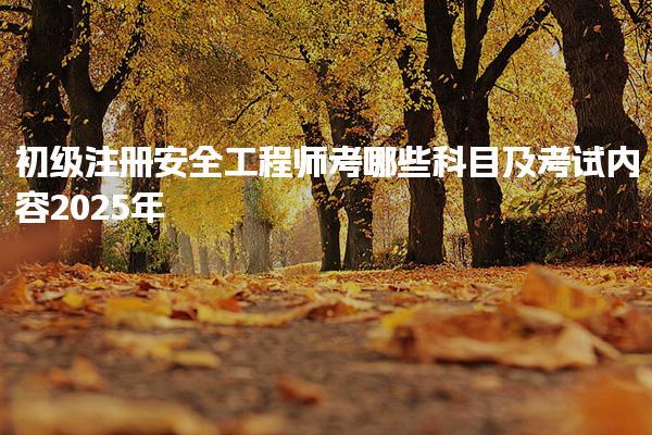 初级注册安全工程师考哪些科目及考试内容2025年