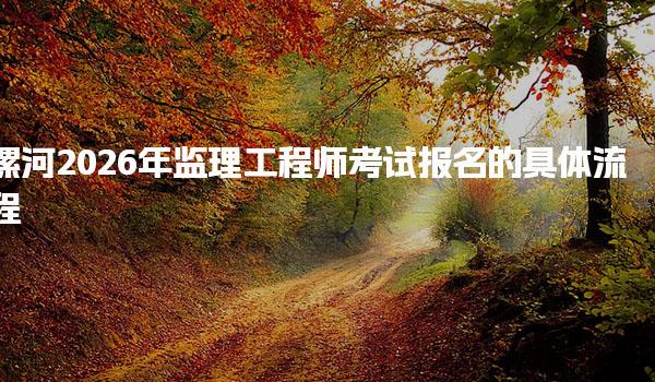 漯河2026年监理工程师考试报名的具体流程