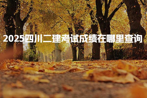 2025四川二建考试成绩在哪里查询