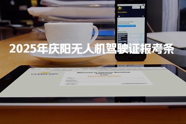 2025年庆阳无人机驾驶证报考条件相关政策