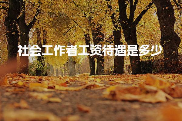 社会工作者工资月薪待遇是多少