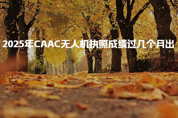 2025年CAAC无人机执照成绩过几个月出，该怎么查分