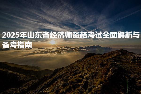 2025年山东省经济师资格考试全面解析与备考指南