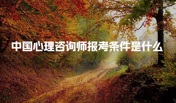 中国心理咨询师报考条件是什么 基本报考条件