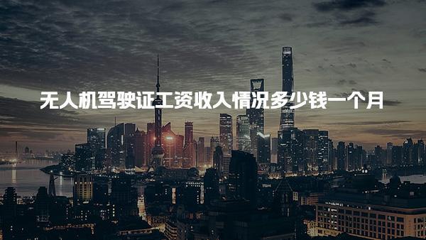 无人机驾驶证工资收入情况多少钱一个月