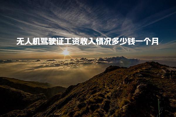 无人机驾驶证工资收入情况多少钱一个月