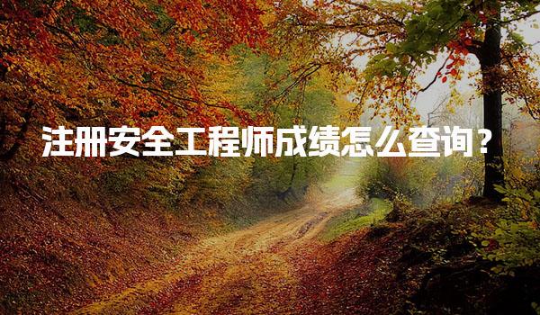 注册安全工程师成绩怎么查询？全面指南与注意事项