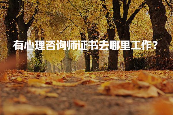 有心理咨询师证书去哪里工作？如何选择适合的职业