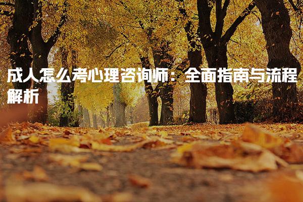 成人怎么考心理咨询师：全面指南与流程解析