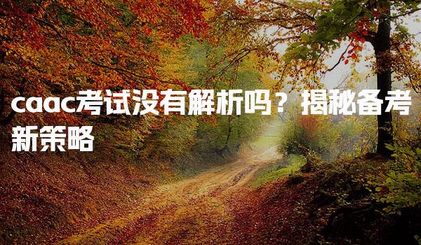 caac考试没有解析吗？揭秘备考新策略