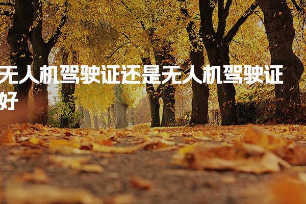 无人机驾驶证还是无人机驾驶证好，报名安排与操作细则