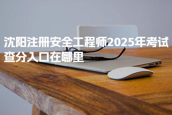 2026年沈阳注册安全工程师考试查分入口在哪里