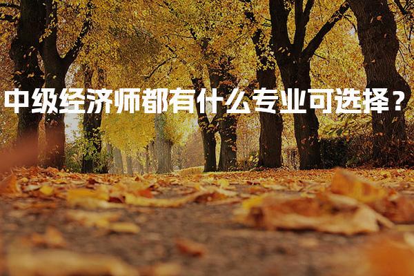 中级经济师都有什么专业可选择？2026年考试专业解析