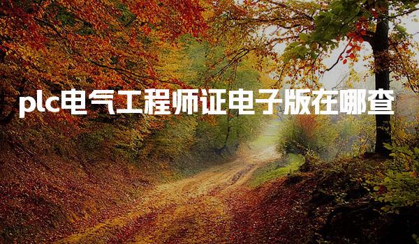 plc电气工程师证电子版在哪查可以查