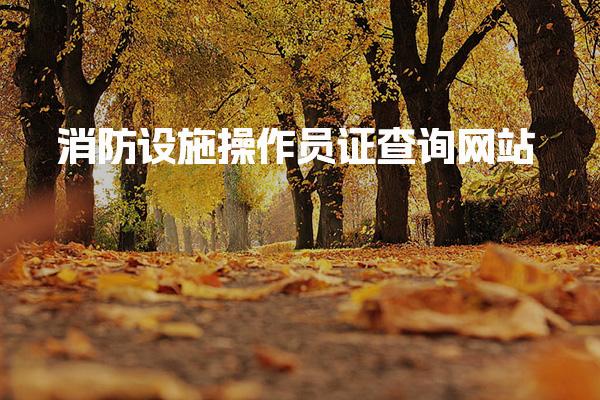 消防设施操作员证查询网站 查询系统异常处理指南