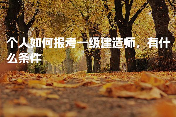 个人如何报考一级建造师，考试安排与科目有什么条件