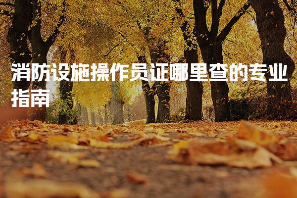 消防设施操作员证哪里查的专业指南 查询准备与注意事项