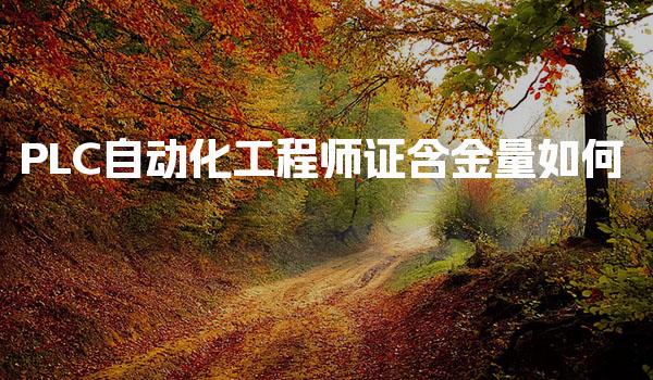 PLC自动化工程师证含金量如何考试难度分析