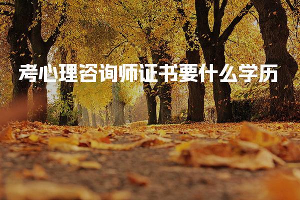 考心理咨询师证书要什么学历大专生能报考吗