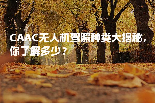 CAAC无人机驾照种类大揭秘 驾照等级分类？