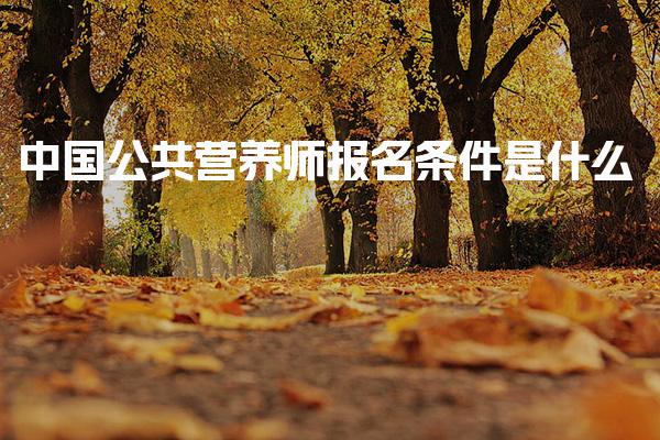 2026年中国公共营养师报名条件是什么 公共营养师的报考方式