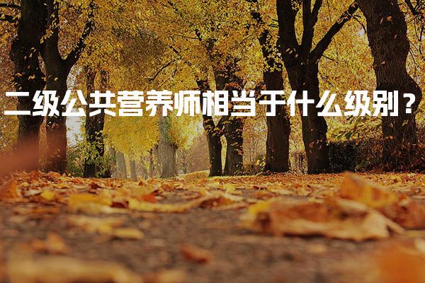 二级公共营养师相当于什么级别？公共营养师的工作内容
